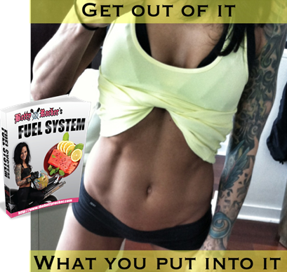 fuelsystem3
