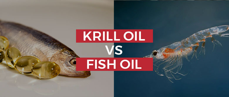 Krill Oil Vs. Fish Oil: Should You Make The Switch? Featured Image
