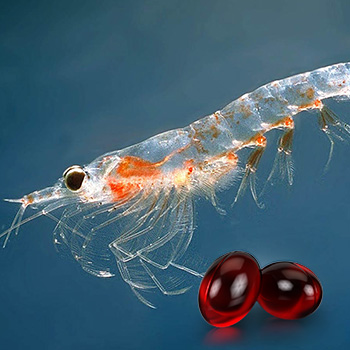 Krill Oil Better Choice