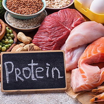 Protein Sources